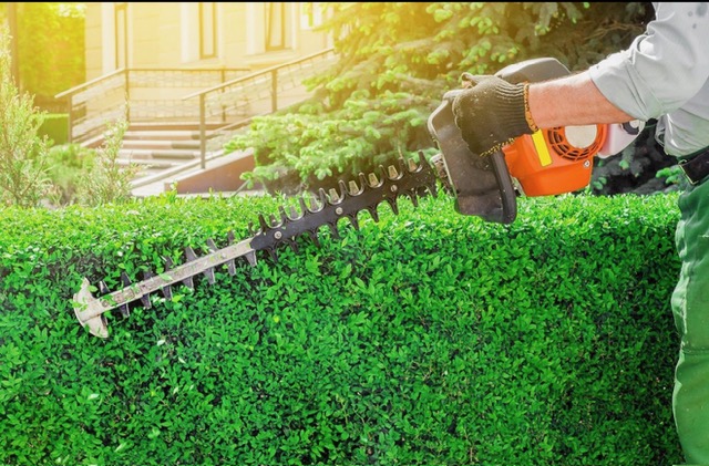 SETX Lawns hedge trimming with professional power tools
