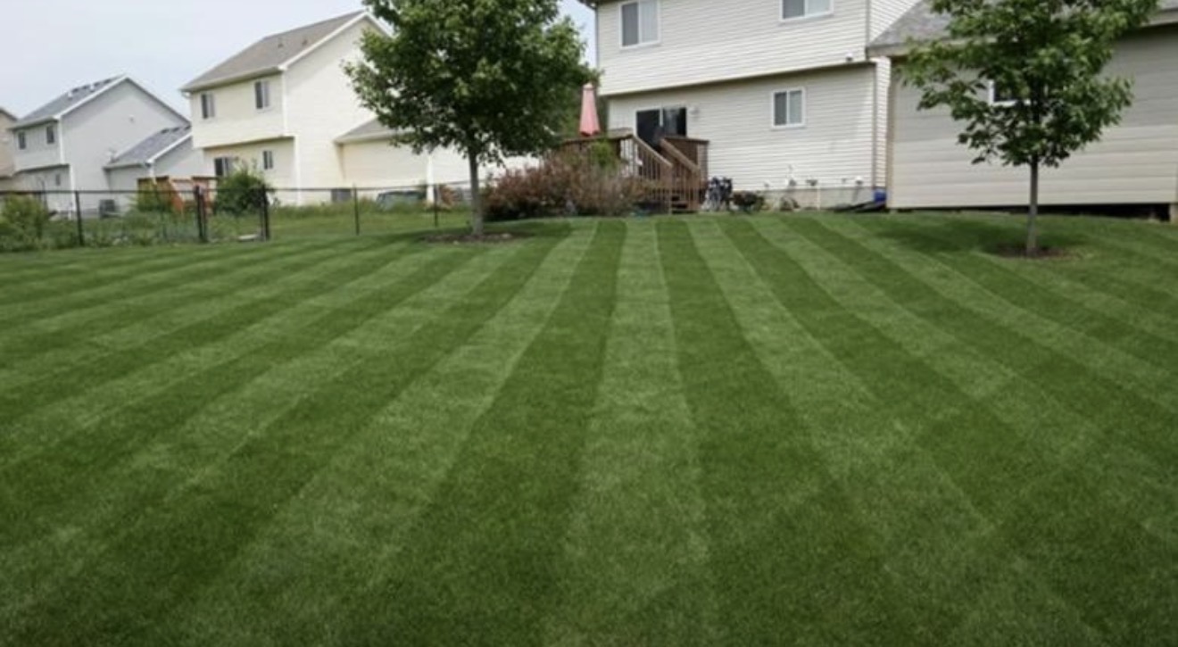 Beautifully maintained residential lawn in Southeast Texas