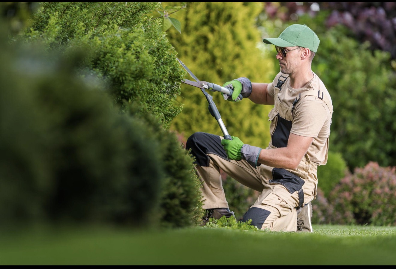 Professional shrub trimming service in Southeast Texas